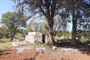 Terreno ostuni carovigno edificabile 9000mq