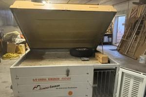 Rimorchio per trasporto cani