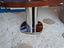Immagine 4