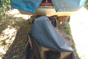 barca con carrello