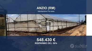 Immobile in asta di 33926 m² a Anzio