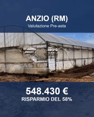 Immobile in asta di 33926 m² a Anzio