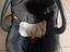 Immagine 6
