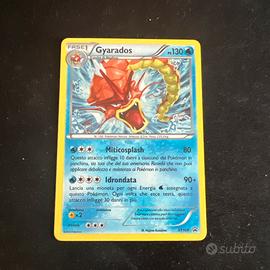 Magikarp xy 143 + Gyarados xy 109