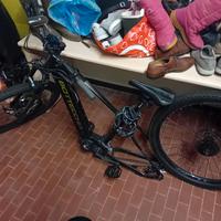bici bottecchia ellettrica