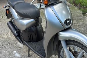 Aprilia scarabeo 50 2t