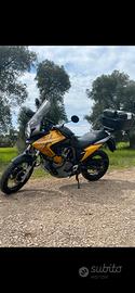 Honda Transalp  700 del 2008
