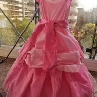 Vestito Carnevale Principessa