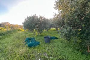 Terreno 1100 mq circa zona pellaro