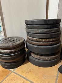 Dischi e bilancieri da palestra