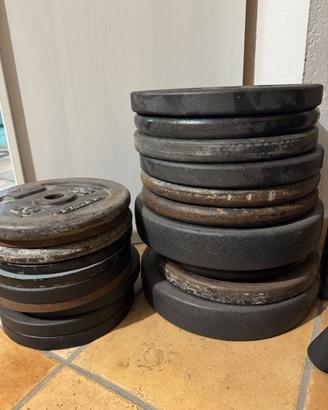Dischi e bilancieri da palestra