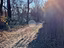 Immagine 17