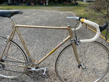 Masi criterium  tg l