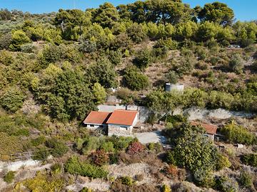 Ter. residenziale a cipressa