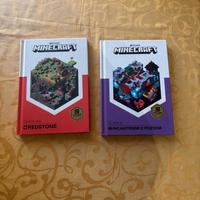 Libri Minecraft