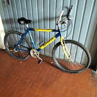 Bici Mountain bike Olympia