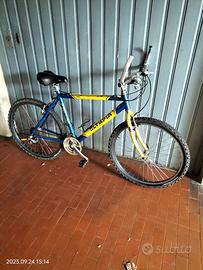 Bici Mountain bike Olympia