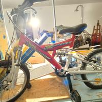 Bicicletta bimbo