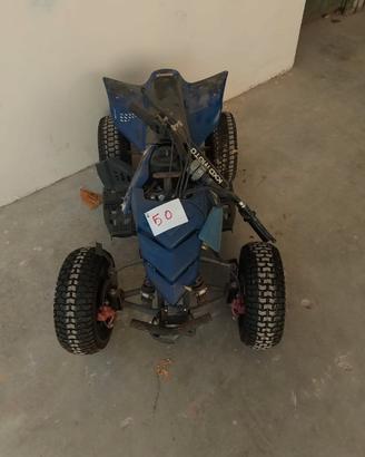 mini quad