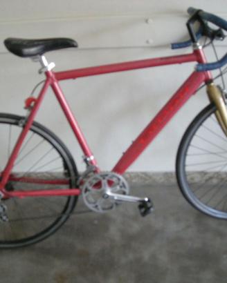 Bici da passeggio 28"