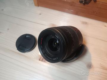 Panasonic Lumix G Vario 14-140mm F4/5.8 Superzoom