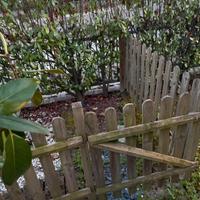 Recinto in legno con cancelletto per giardino