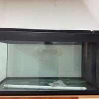 Acquario 200 litri