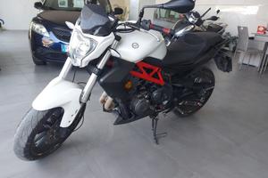 Benelli BN 302 - 2018