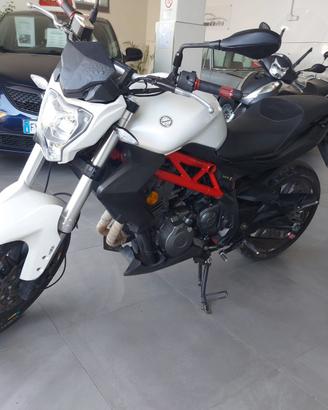 Benelli BN 302 - 2018