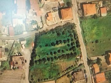 Terreno edificabile a Scalea