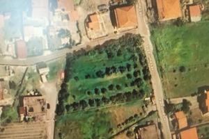 Terreno edificabile a Scalea