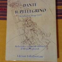 Libro: Dante il pellegrino