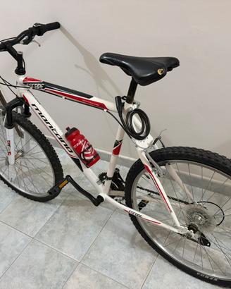 Bici montana