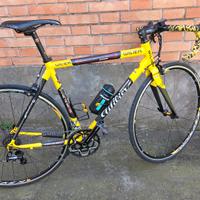 bici Wilier Triestina 