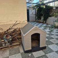 cuccia per cane