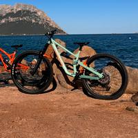 Canyon torque mullet
