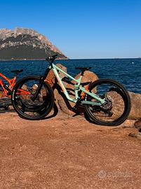 Canyon torque mullet