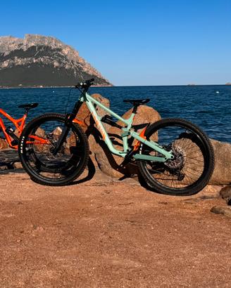 Canyon torque mullet