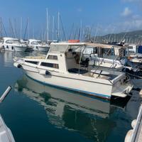 Natante omnia 650 6,5m