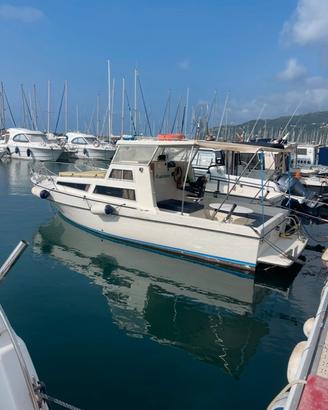 Natante omnia 650 6,5m