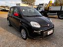 fiat-panda-1-2-easy