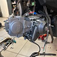 Motore 125 pit bike pitbike