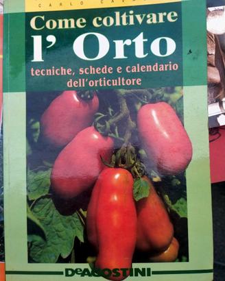 Come coltivare lorto