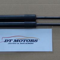 Coppia pistoncini alzavetro posteriore smart 98-07