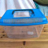 vaschetta pesci rossi