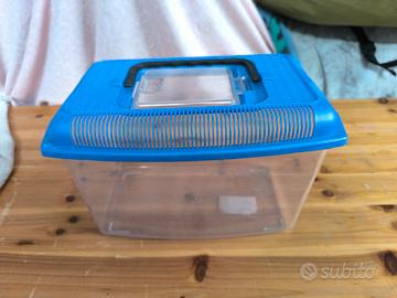 vaschetta pesci rossi