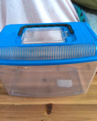 vaschetta pesci rossi