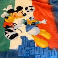 Coperta Caleffi Disney