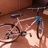 MOUNTAIN BIKE