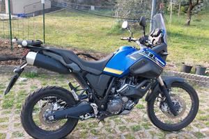 Yamaha XT  Tènèrè Z 660 2013